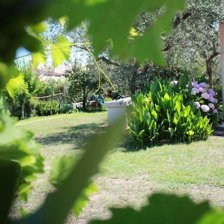 Villa Di Campagna Vicino Al Mare Orosei Eksteriør billede