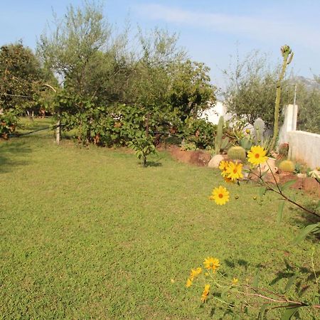 Villa Di Campagna Vicino Al Mare Orosei Eksteriør billede