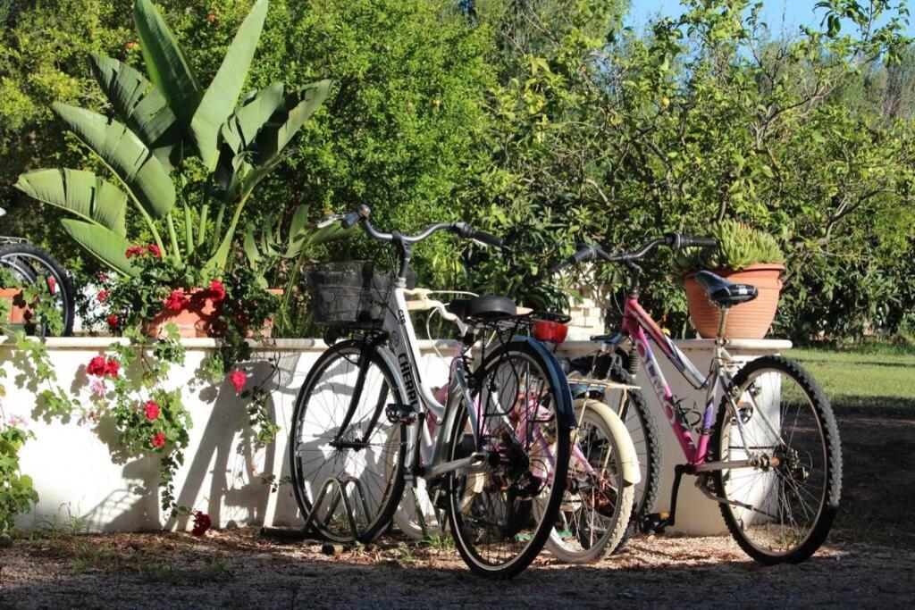 Villa Di Campagna Vicino Al Mare Orosei Eksteriør billede