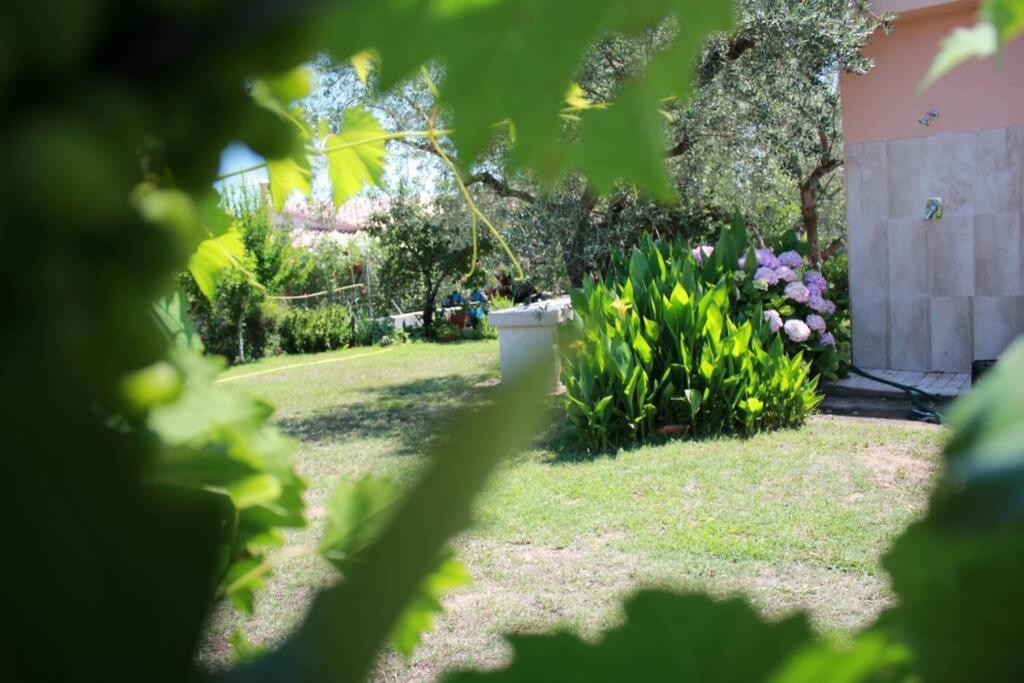 Villa Di Campagna Vicino Al Mare Orosei Eksteriør billede