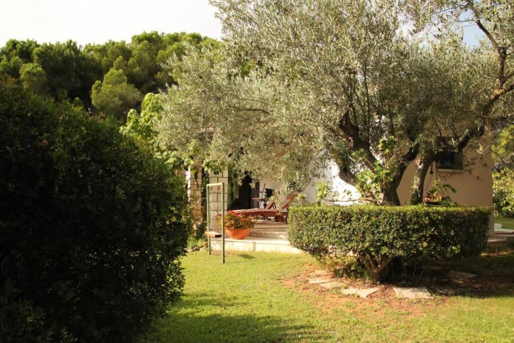 Villa Di Campagna Vicino Al Mare Orosei Eksteriør billede